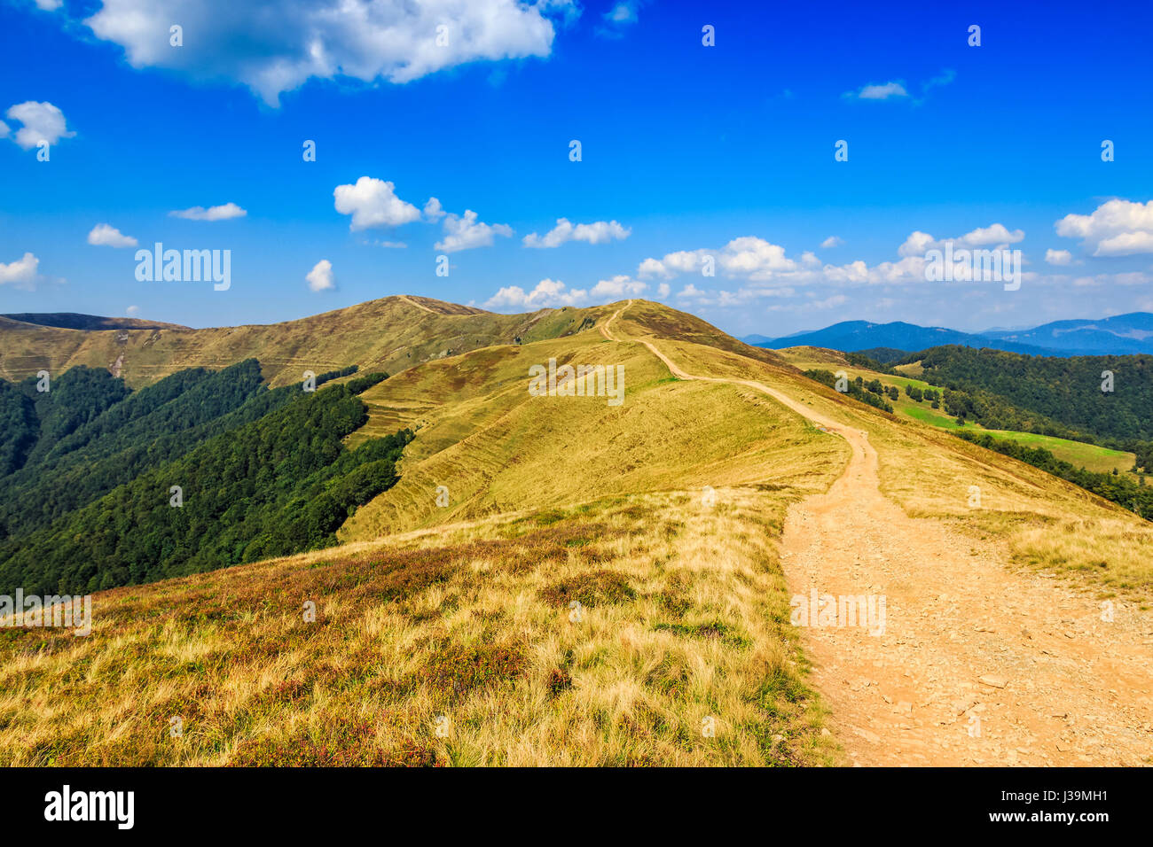 summer mountain landscape. path through the ridge to the top. fine weather with blue sky and few clouds Stock Photo