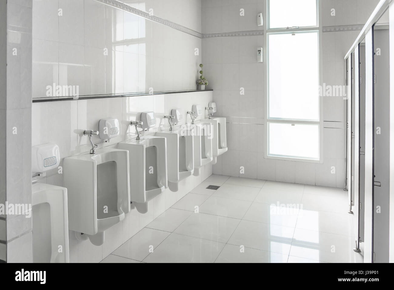 Window Urinal White urinals in clean men public toilet room empty with big window and ...