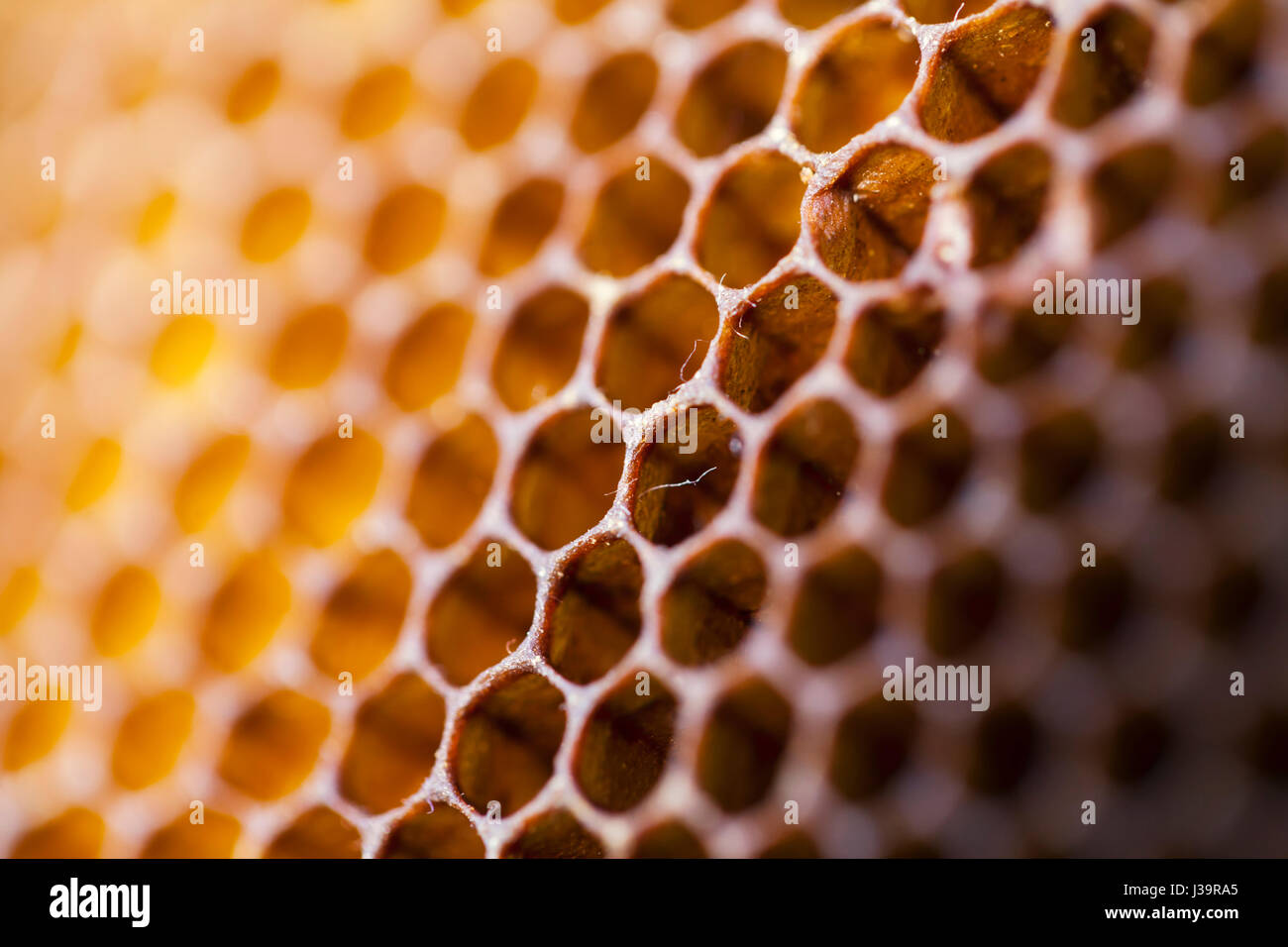 honeycomb macro close up Stock Photo