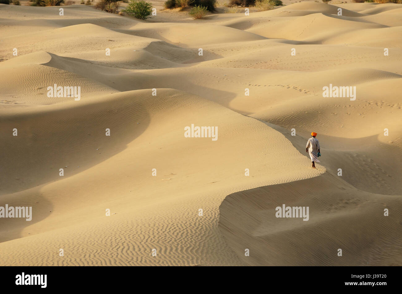 Thar desert near Jaisalmer. Rajasthan, India Stock Photo - Alamy