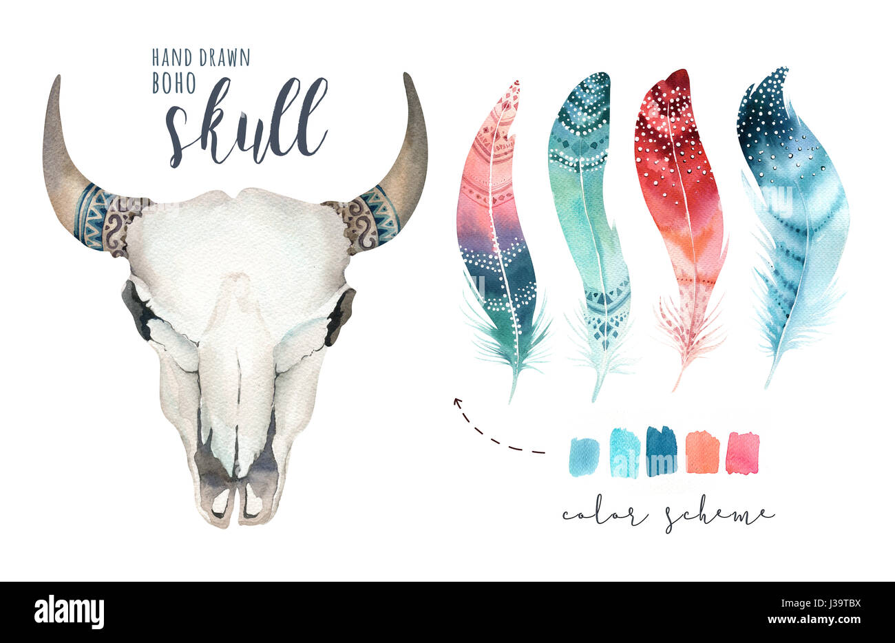 Watercolor bohemian cow skull and feather. Western mammals. Boho ...