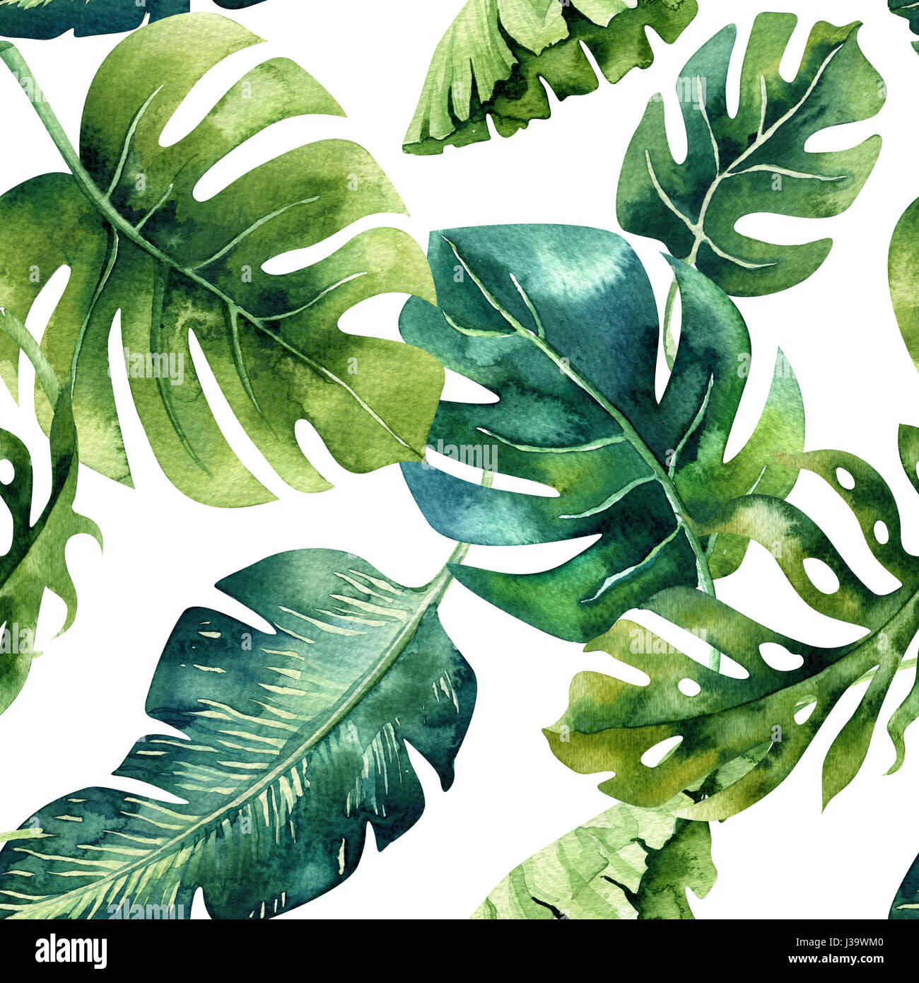 Tropic vibration-future roots обложка альбома. лист пальмы. Custom leaves. Custom leaves. принты с листьями.