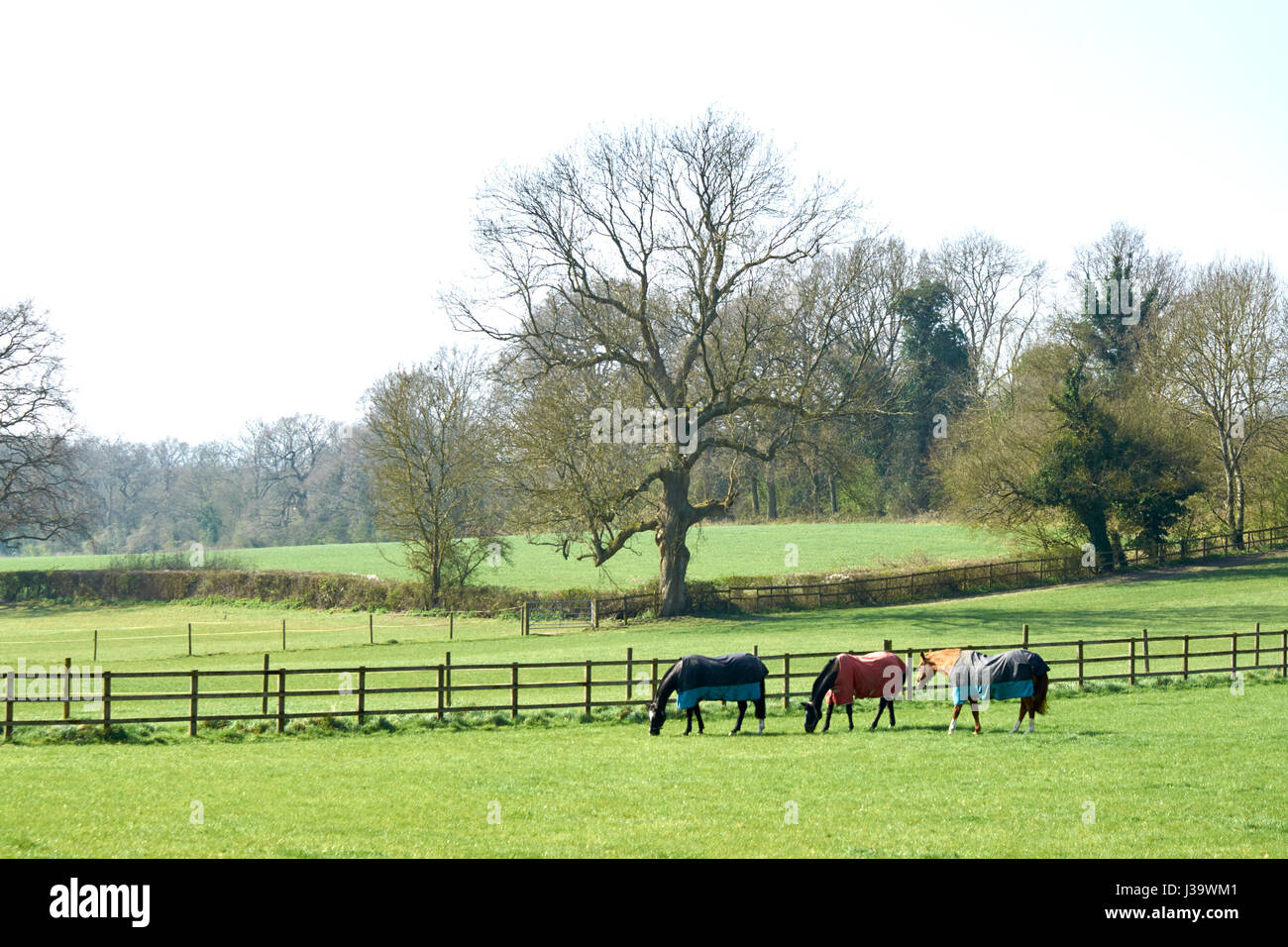 Fences And Trees High Resolution Stock Photography and Images - Alamy
