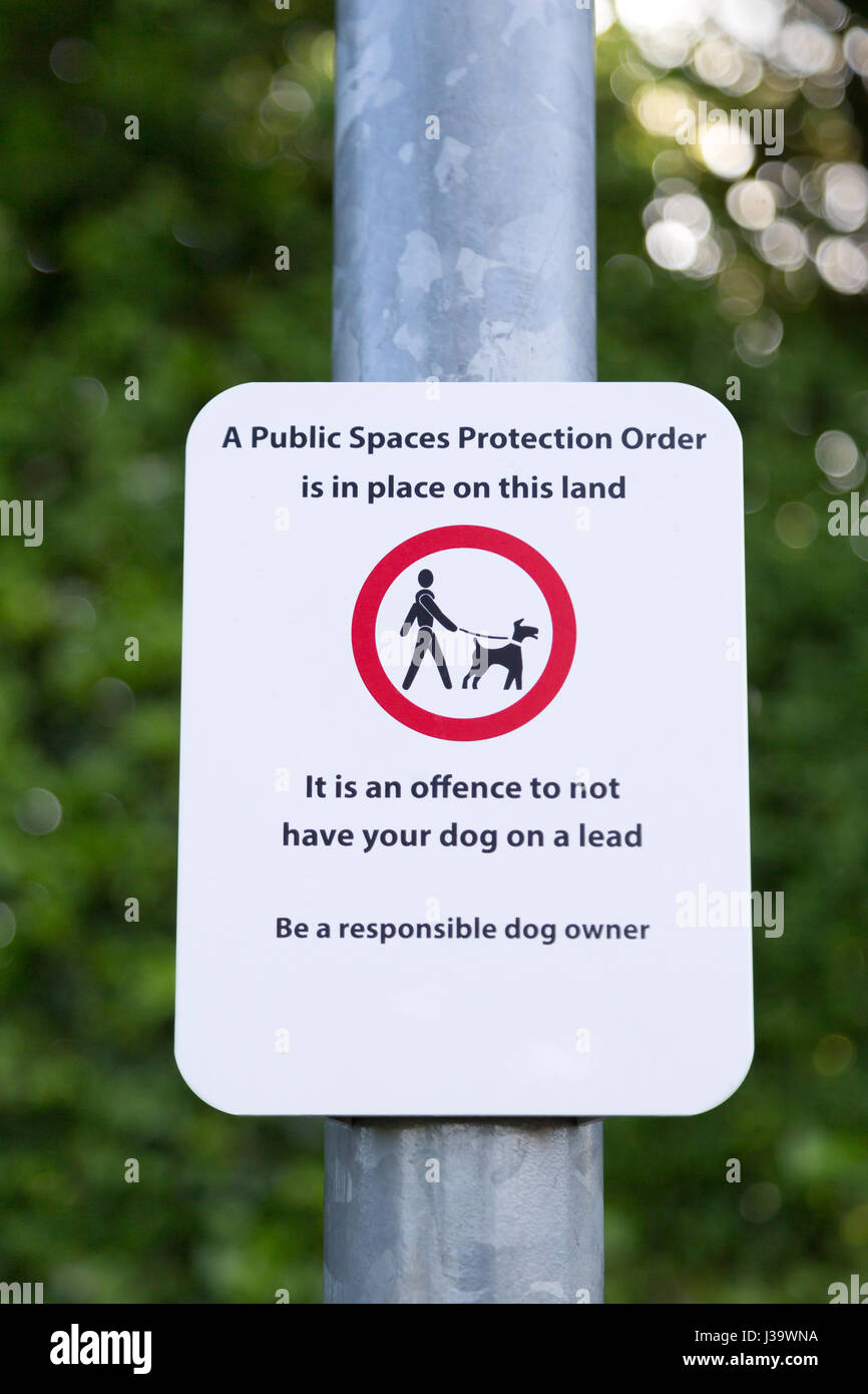 UK sign saying  'it is an offence to not have your dog on a lead' responsible dog owner, public spaces protection order Stock Photo