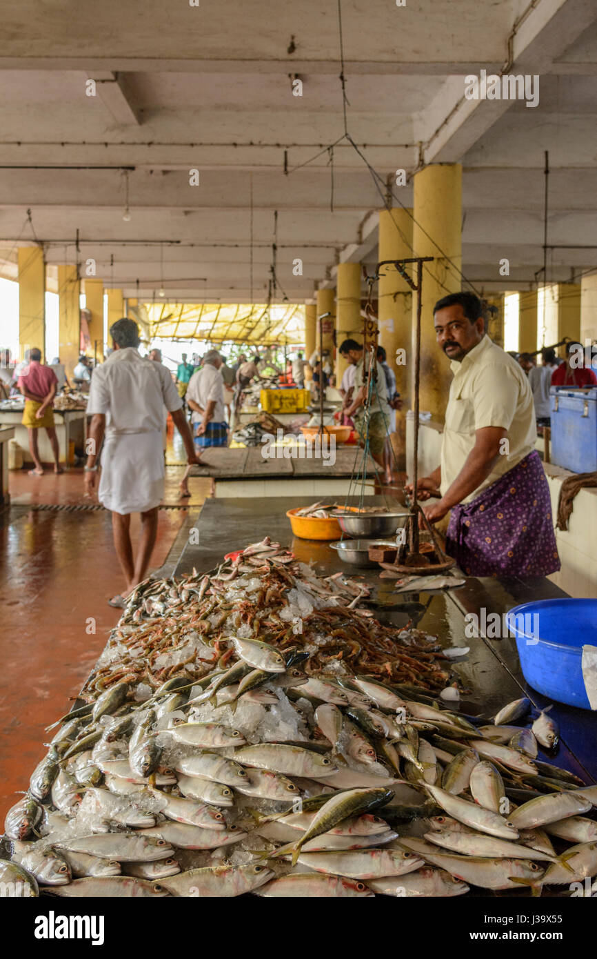 Image result for fish market south india