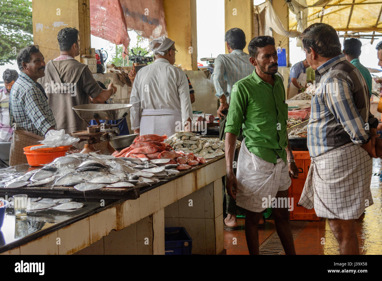 Daily fish market in Thalassery (Tellicherry), Kannur district