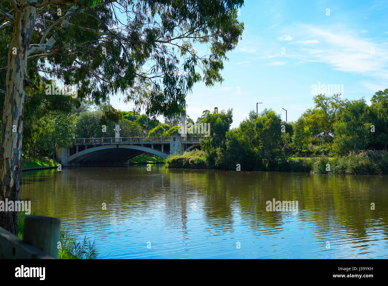 View of King William Bridge, from Adelaide Riverbank acroos the Torrens