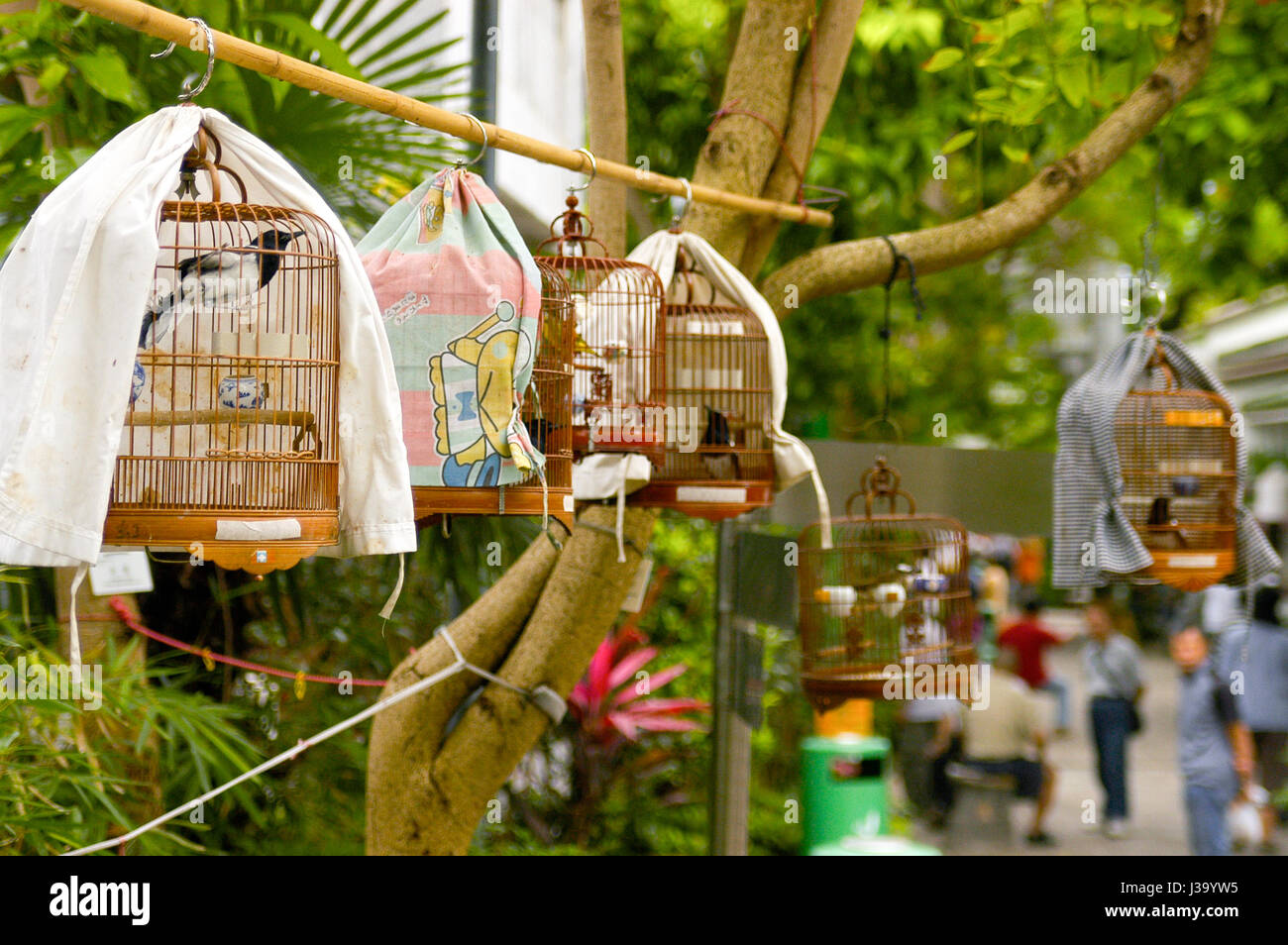 Hanging bird cages at the Yuen Po Street Bird Garden in Hong Kong Stock