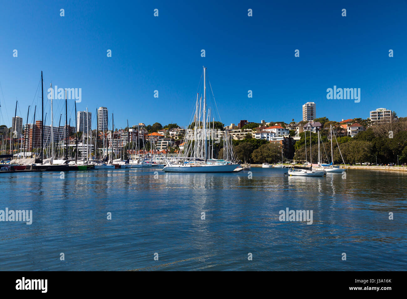 Yachts at Rushcutters Bay Park, Sydney Stock Photo Alamy