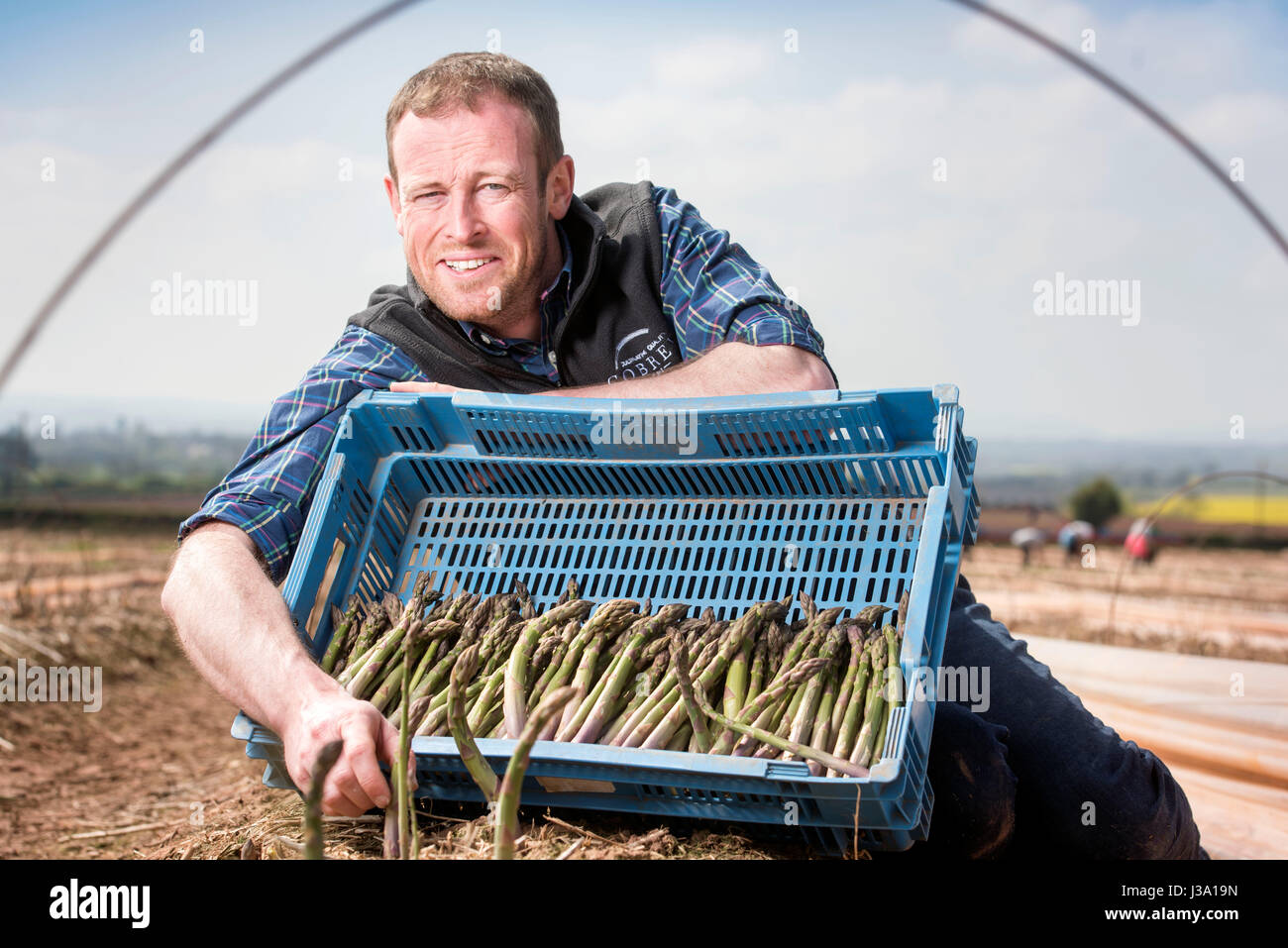 Asparagus farmer Chris Chinn of Cobrey Farms near RossonWye with some