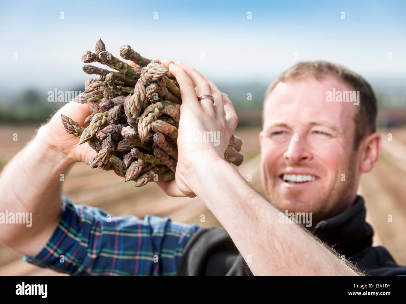 Asparagus farmer Chris Chinn of Cobrey Farms near RossonWye with some