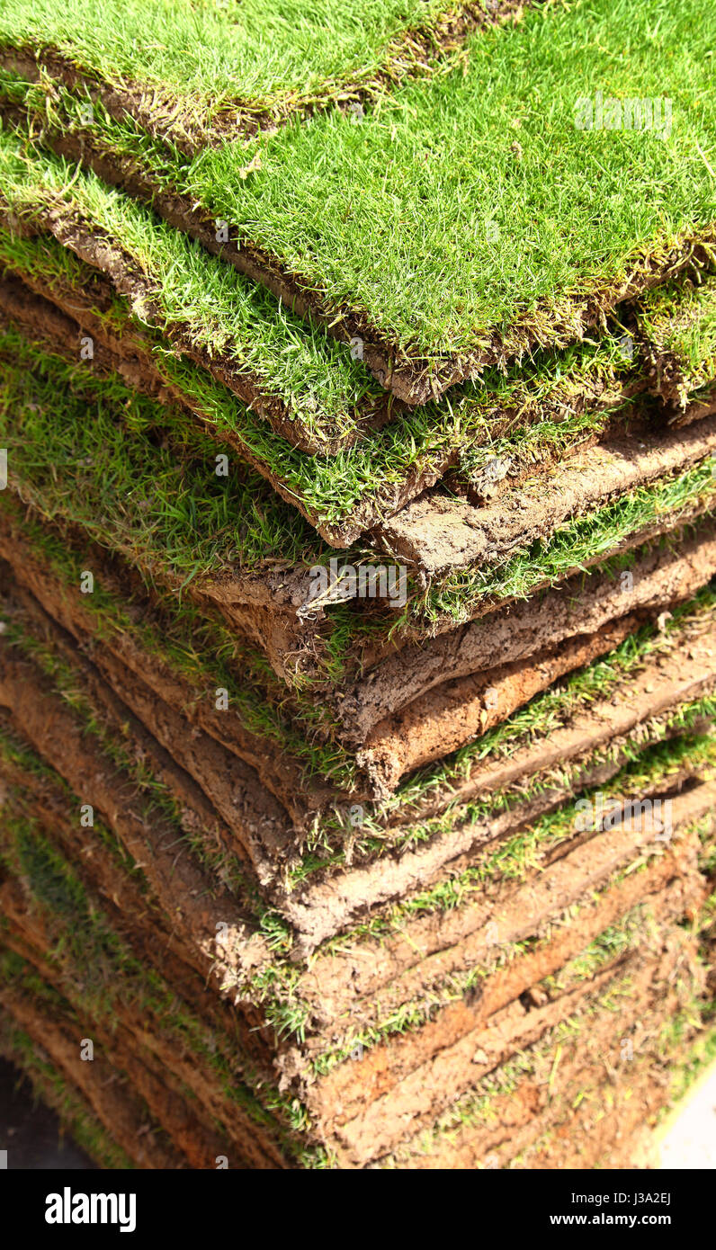 Grass Sod Squares Stock Photo Alamy