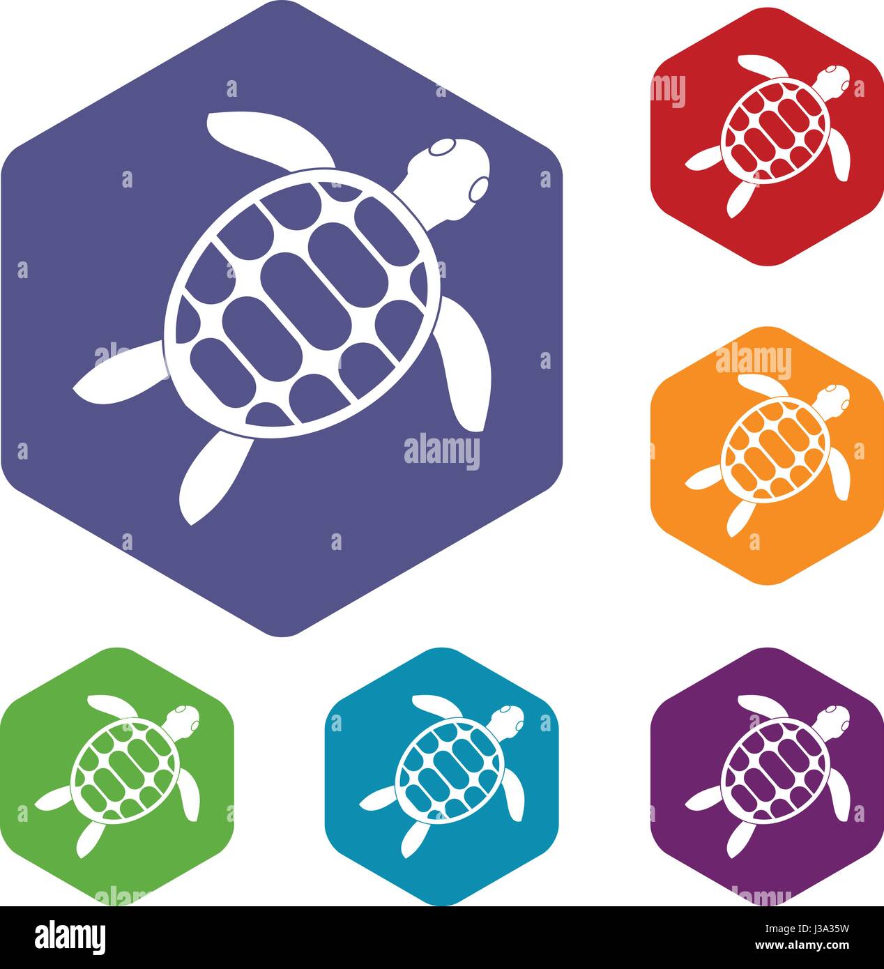 Turtle icons set hexagon Stock Vector Image & Art - Alamy