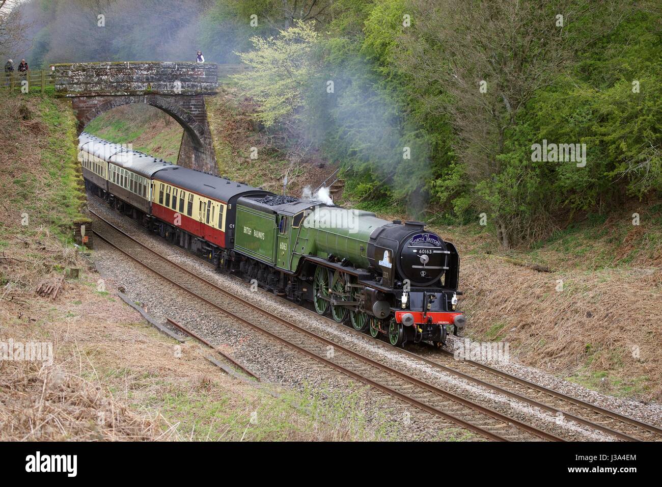 Steam train LNER Peppercorn Class A1 60163 Tornado. Cowran Cut, Cowran Cutting, Brampton, Newcastle & Carlisle Railway, N&CR, Cumbria, England. Stock Photo