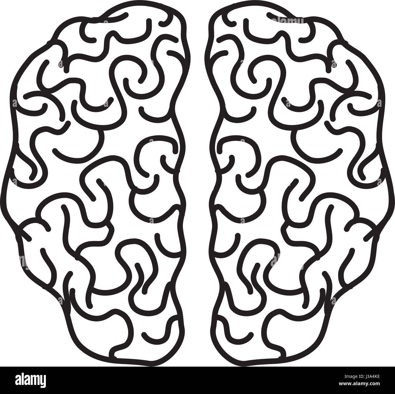 Isolated brain organ design Stock Vector Image &amp; Art - Alamy