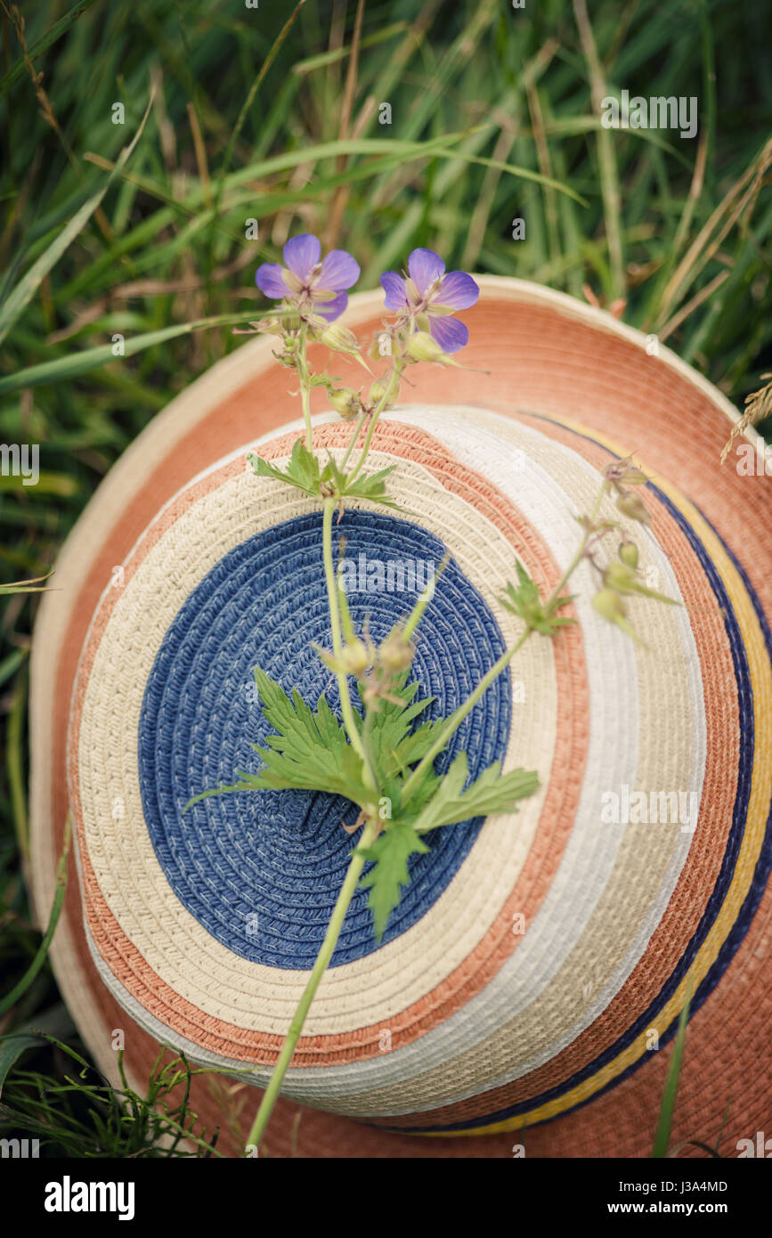 Straw hat lying among grass with wild flower on top Stock Photo