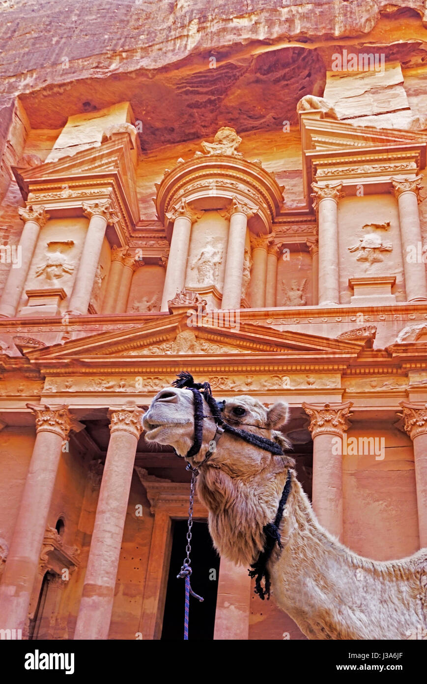 Capital City Of The Nabataeans High Resolution Stock Photography and ...