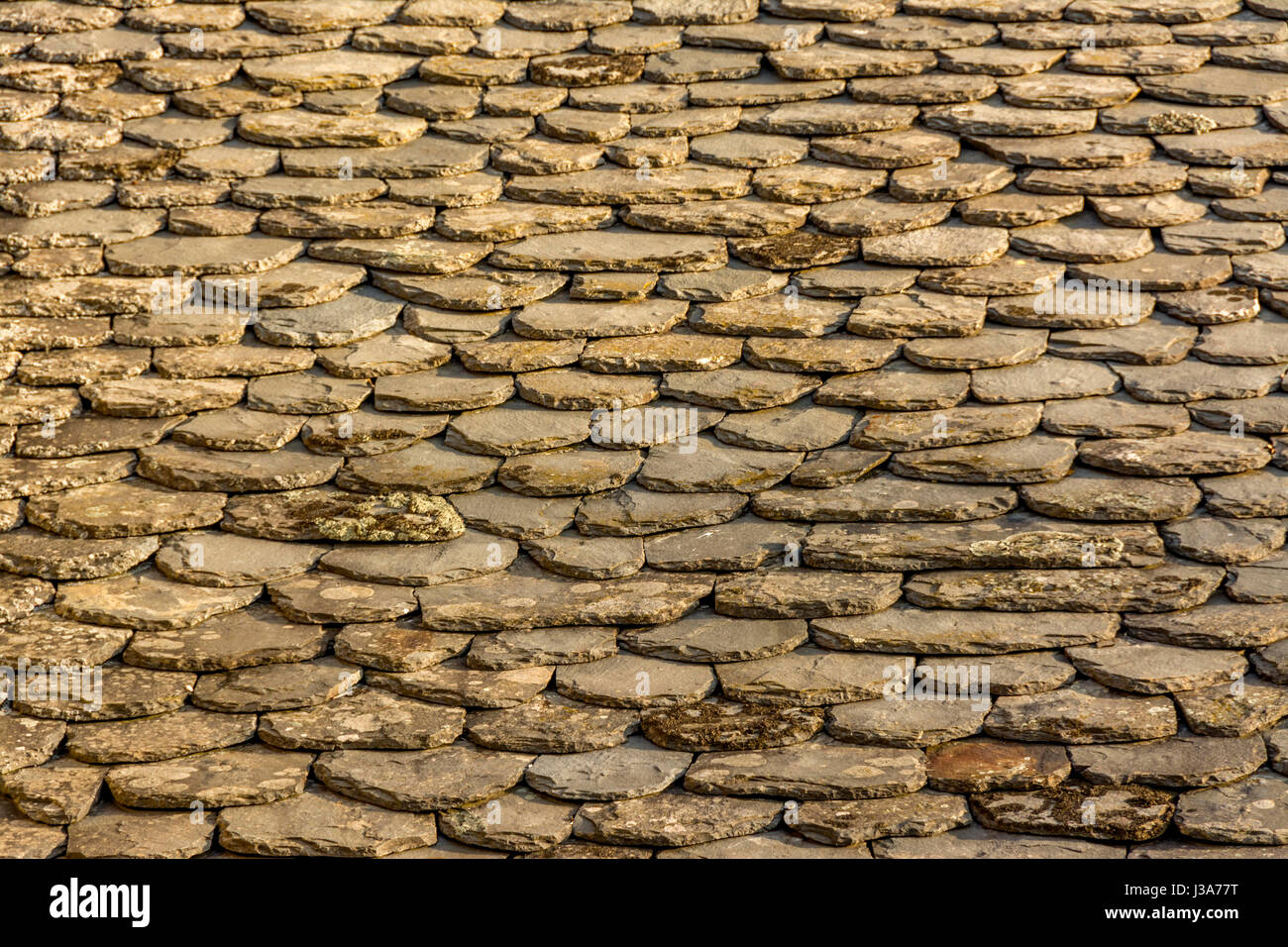 Traditional slate roof in Auvergne, France Stock Photo