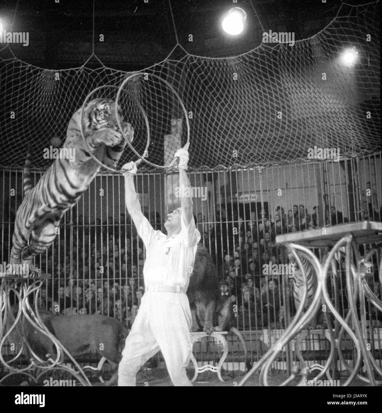 Circus program with predators, 1954 Stock Photo - Alamy