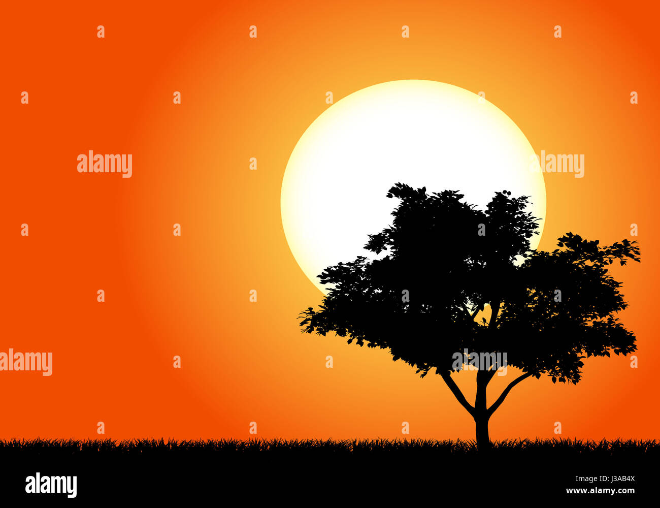 Silhouette of a tree in the sunset of Africa Stock Photo - Alamy