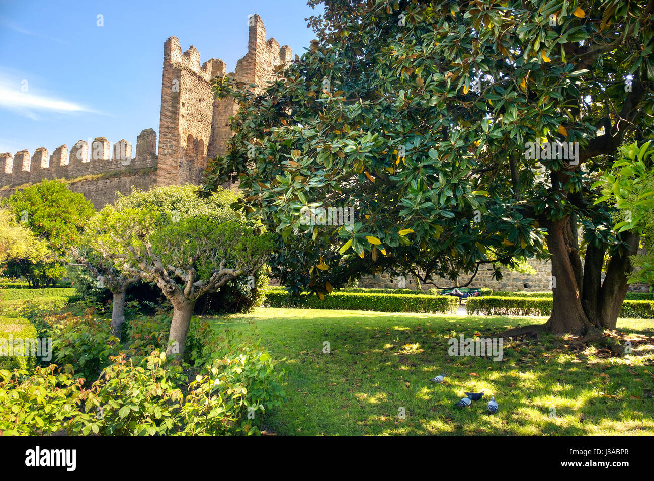 park of the carrarese castle of Este , Padua province, Italy Stock Photo