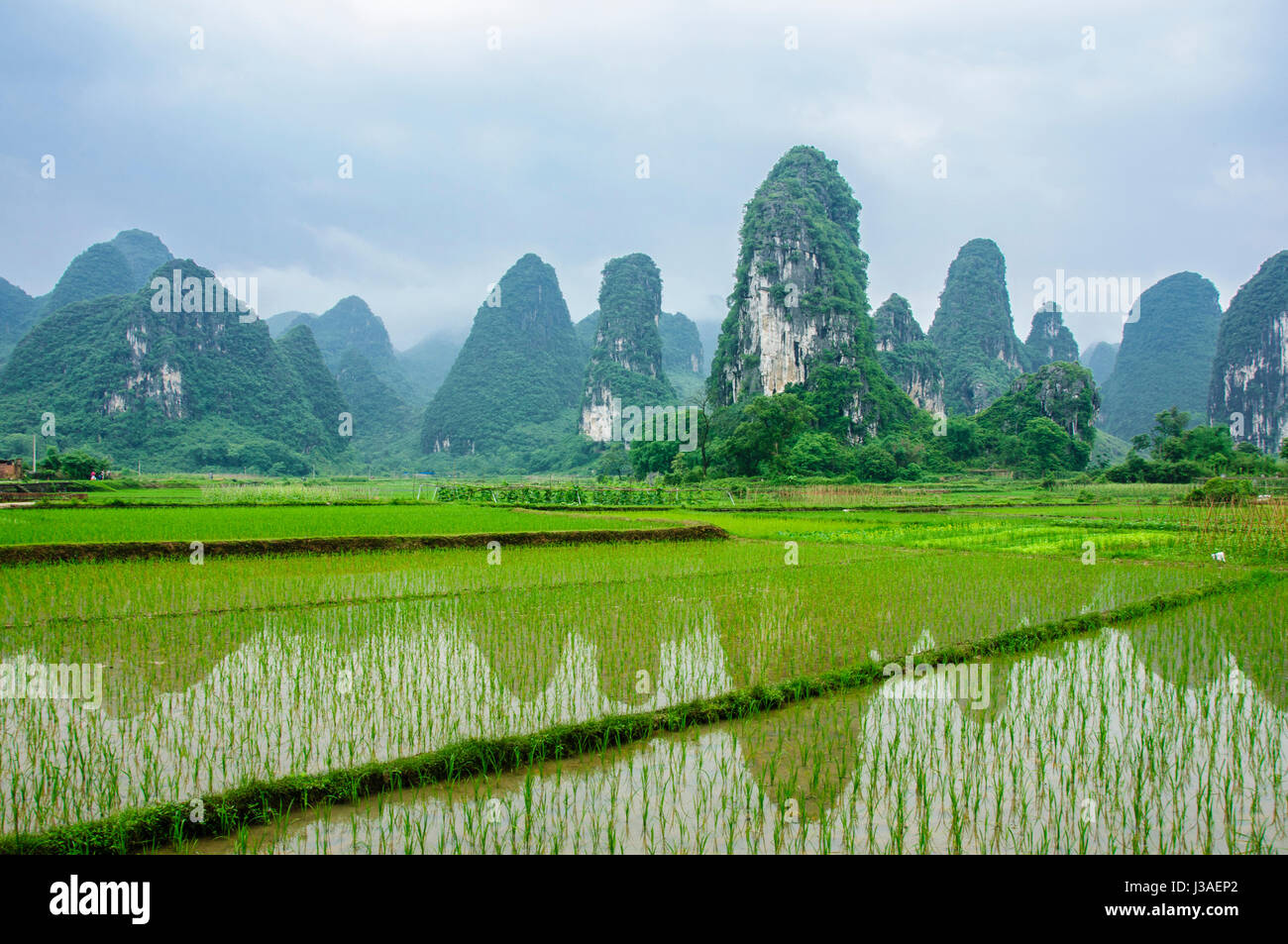 Beautiful karst mountains and countryside scenery in spring Stock Photo ...