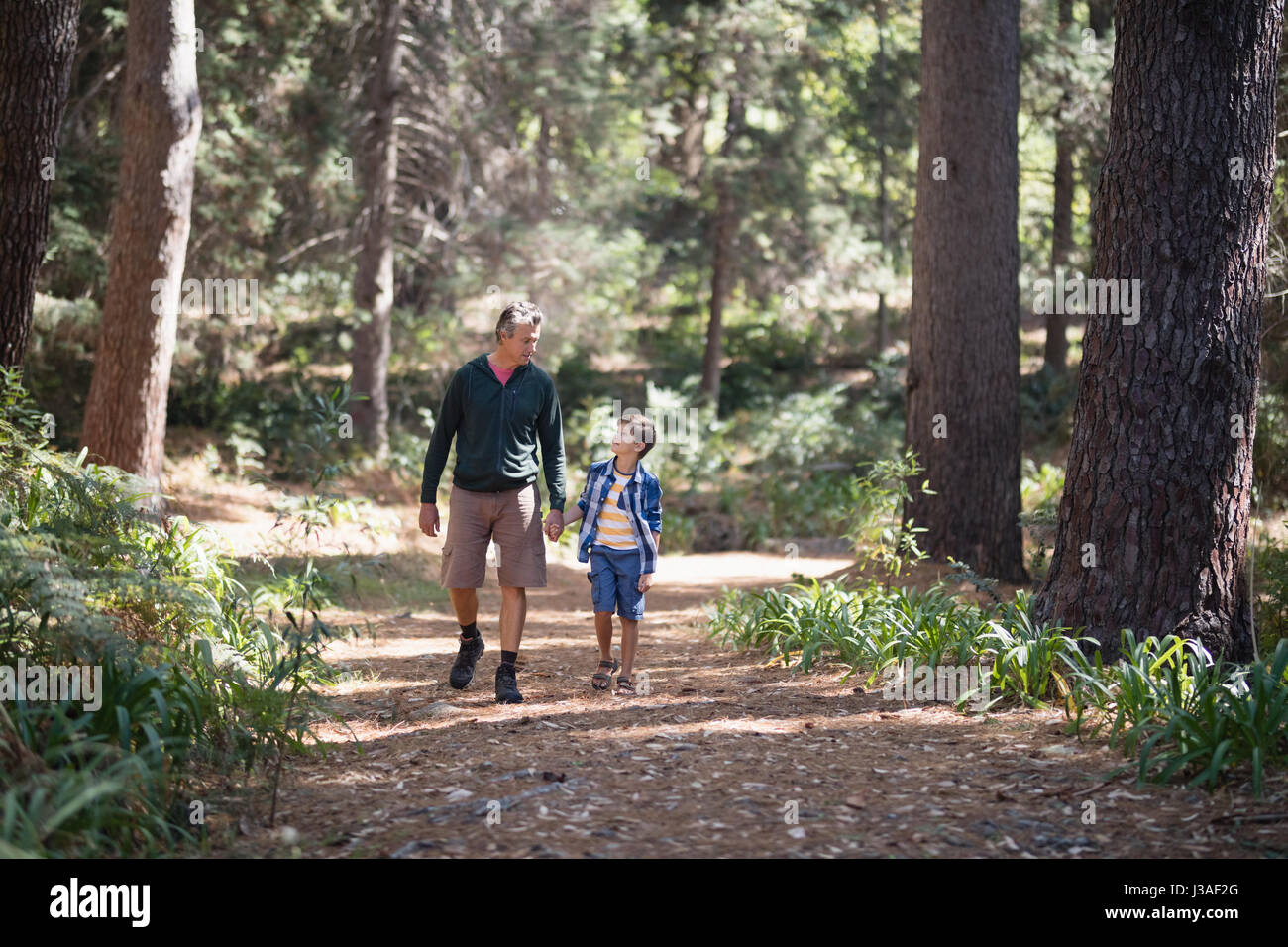 Full length of father and son walking amidst trees in forest Stock ...