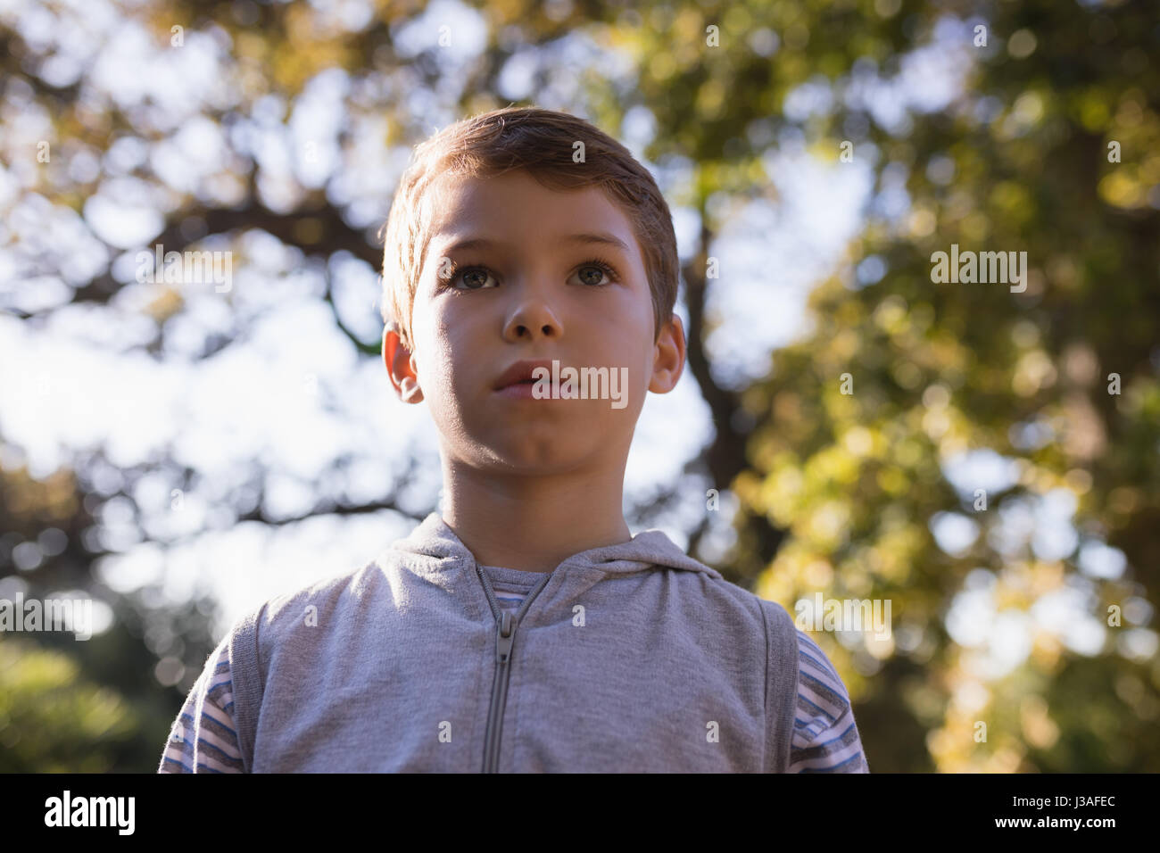 Low angle view of boy against trees in forest Stock Photo