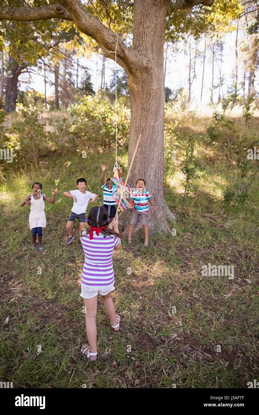 Rear view of blindfolded girl hitting pinata hanging on tree in forest  Stock Photo - Alamy