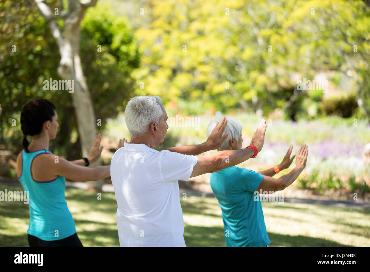 Group of people exercising in the park on a sunny day Stock Photo - Alamy