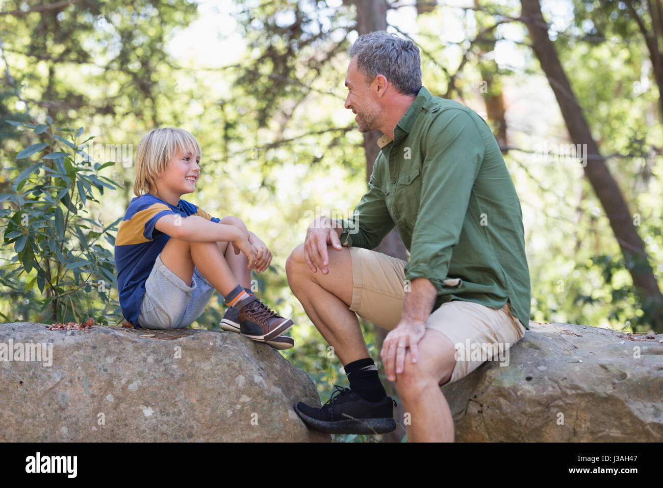 Father and talking while siting on rocks in forest Stock Photo - Alamy