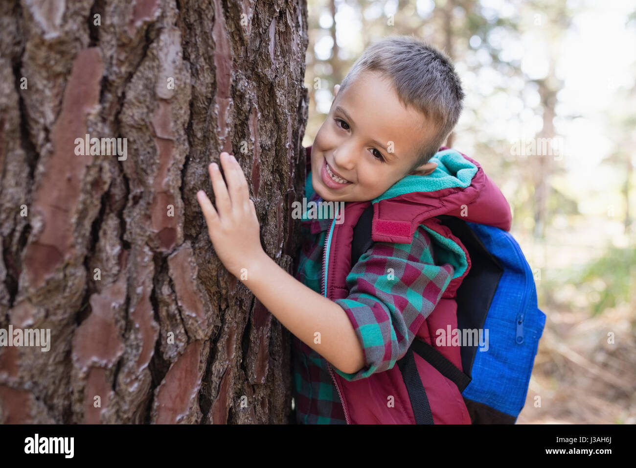 Portrait of happy boy embracing tree in forest Stock Photo - Alamy