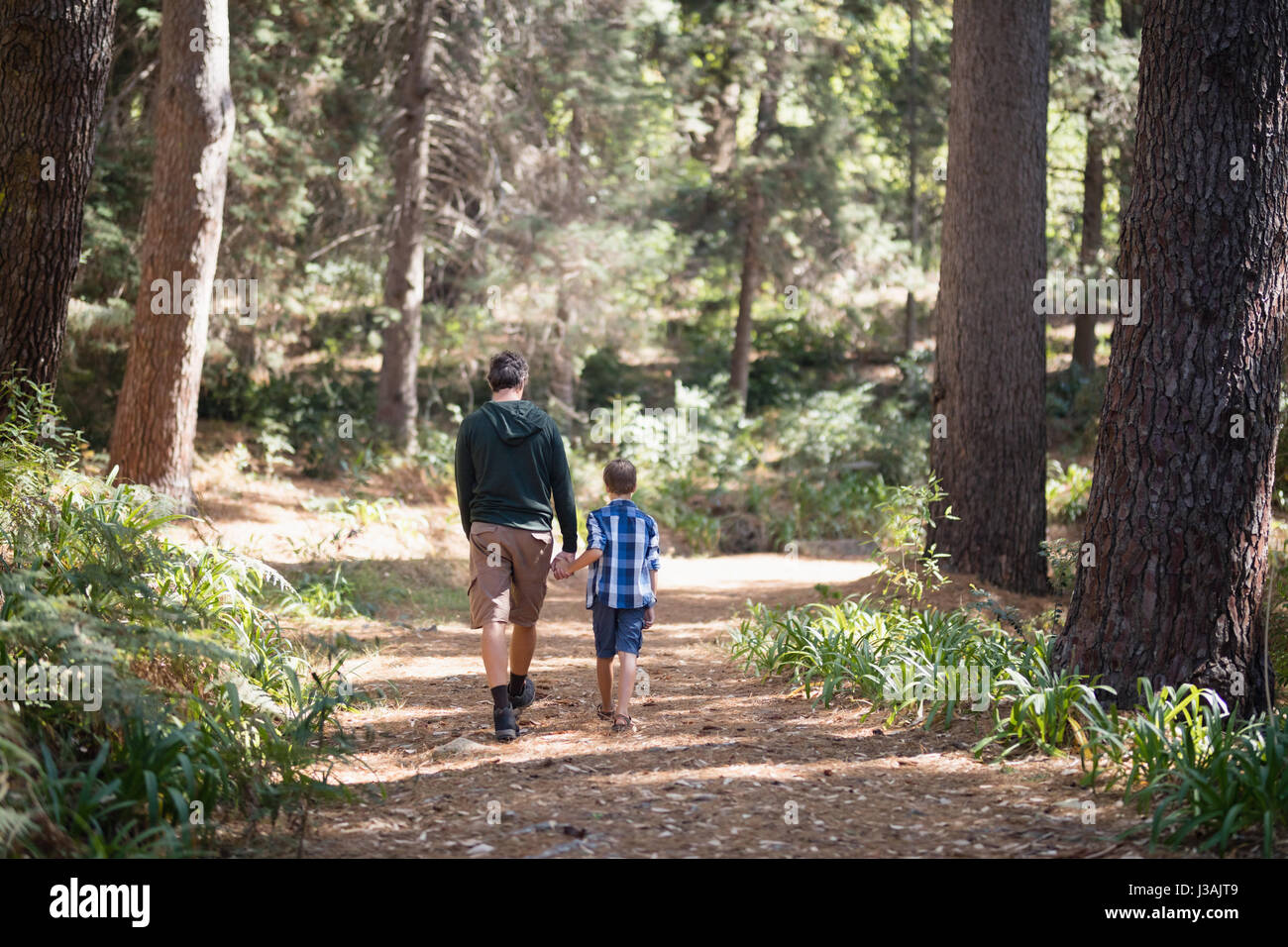 Дочка лесу папа. Отец и сын гуляют в лесу. Отец с сыном гуляют. Папа гуляет с сыном. Отец с сыном идут по лесу.