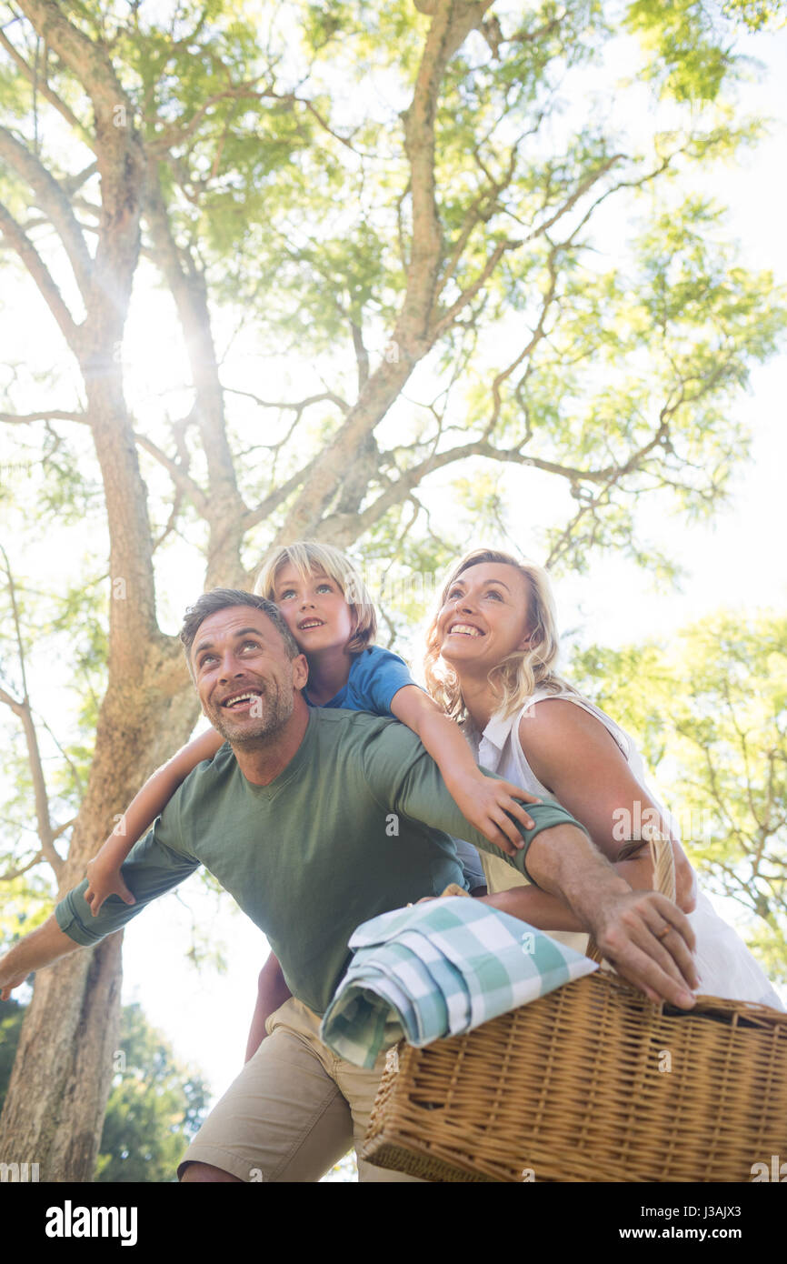 Playful family arriving in the park for picnic on a sunny day Stock ...