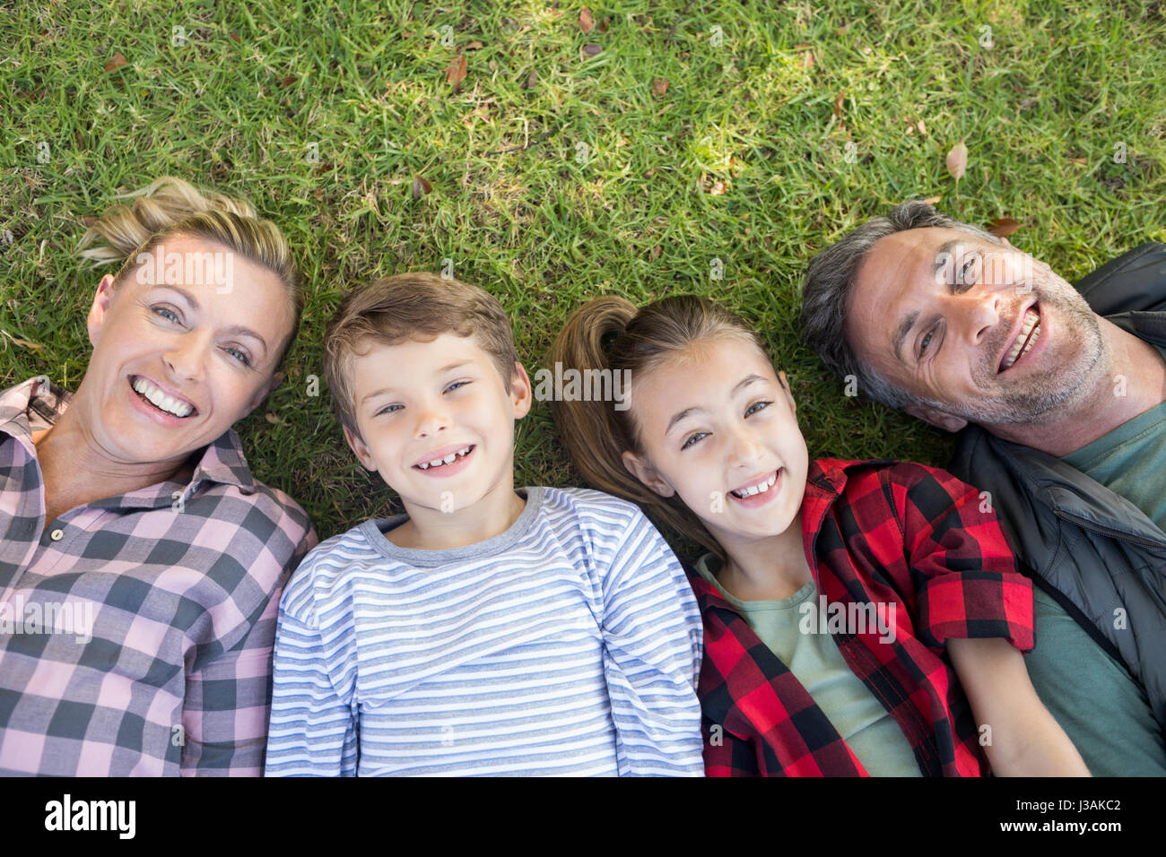 Portrait of happy family lying on the grass in park Stock Photo - Alamy