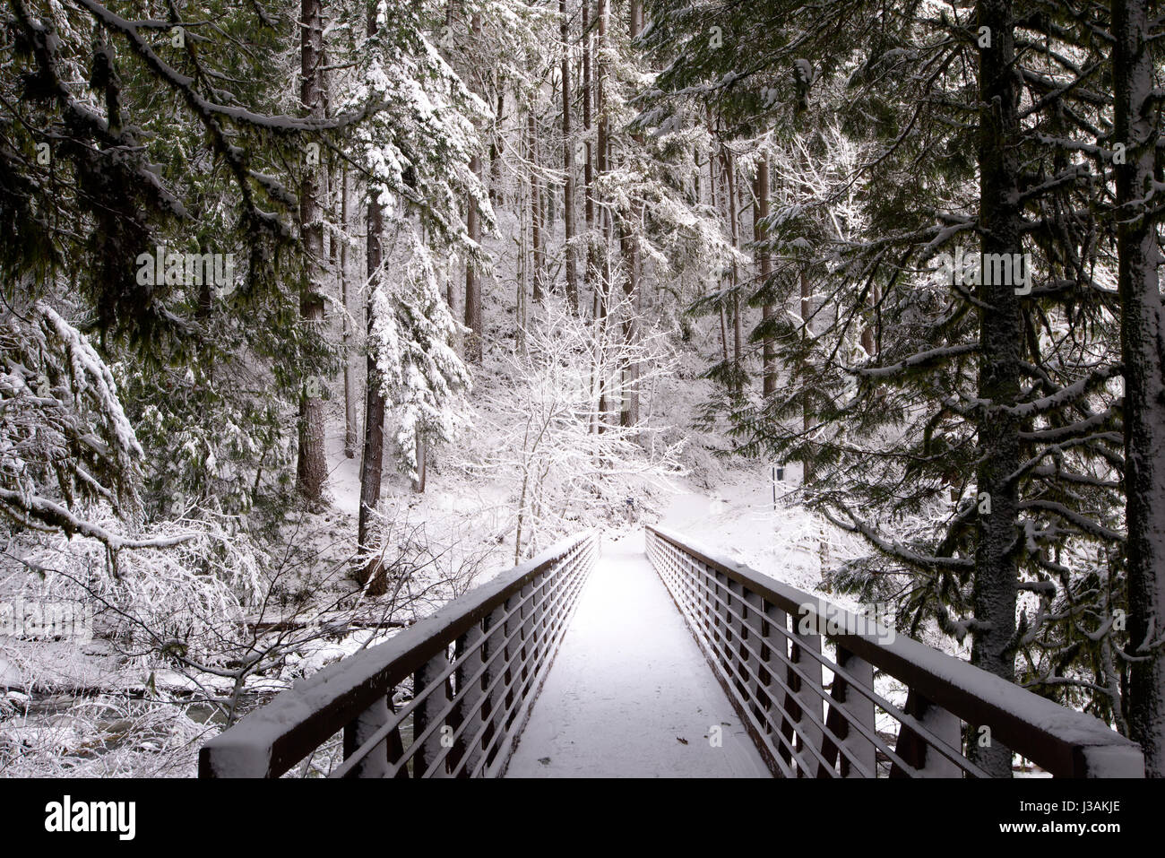 A pedestrian bridge with a railing through a ravine in a wild winter ...
