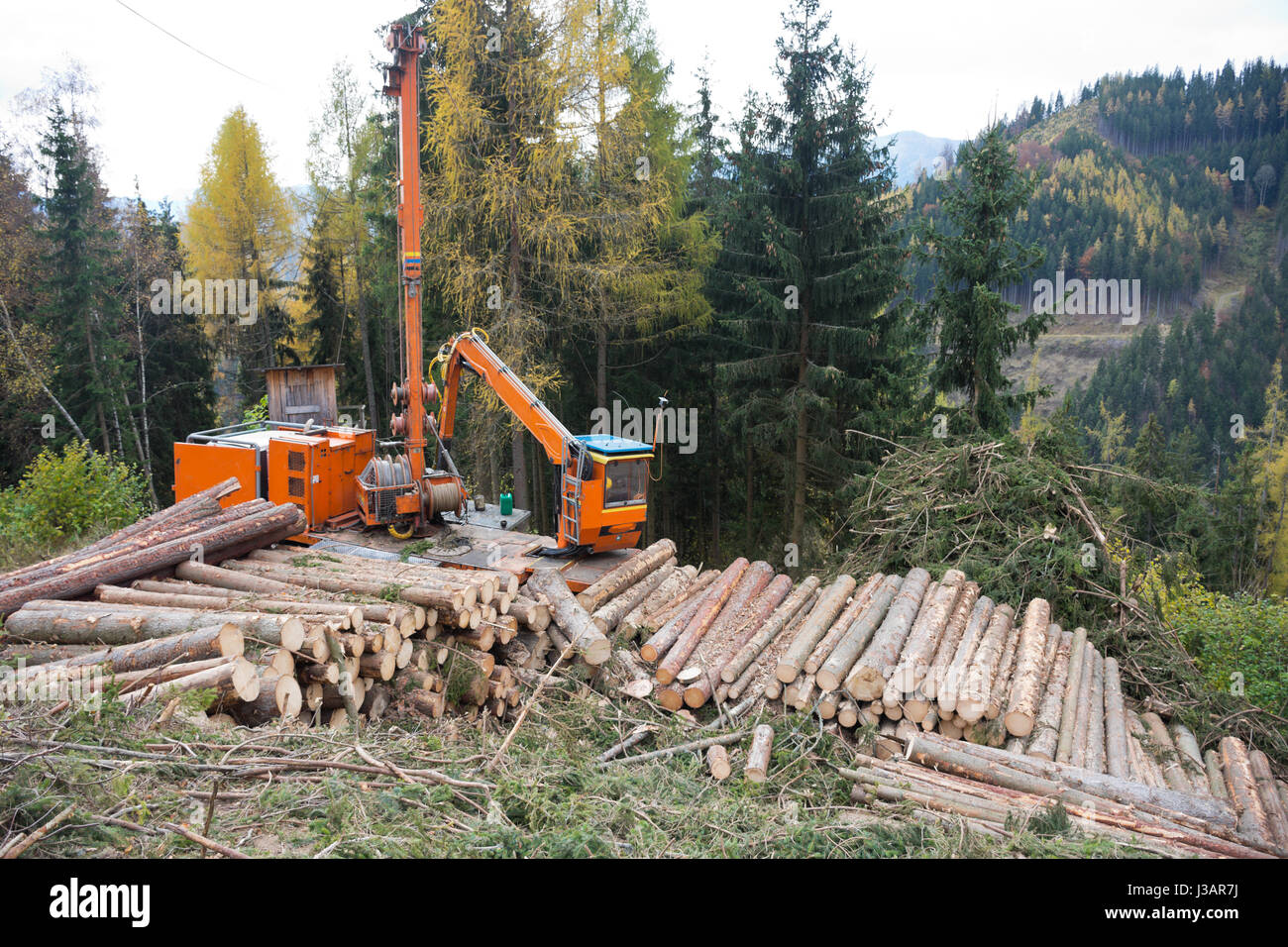 Timber harvesting with a skyline crane and manipulator in an autumnal mixed forest in the Styrian foothills of the limestone alps. Stock Photo