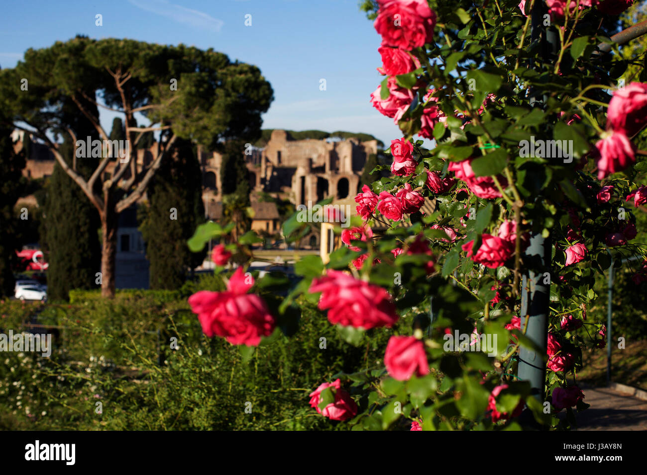 Rome On Foot High Resolution Stock Photography and Images - Alamy