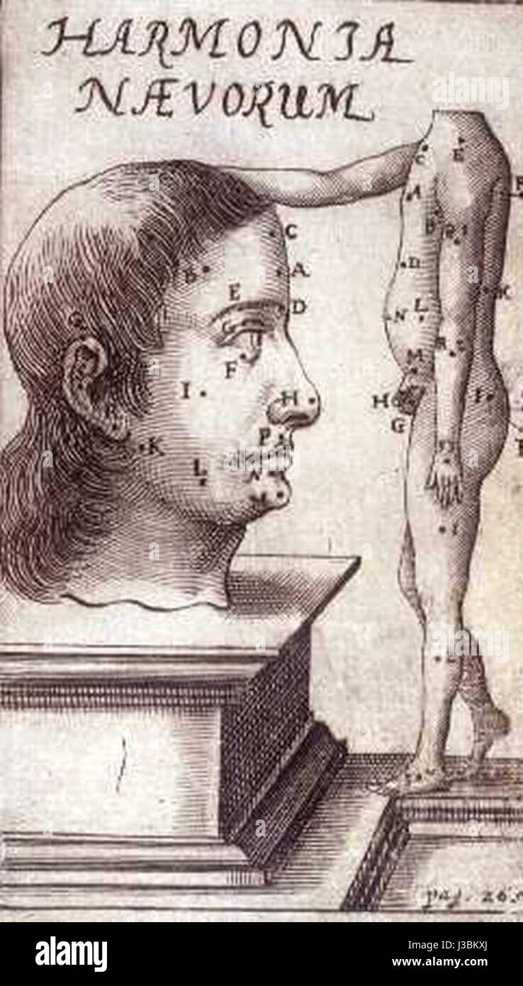This title refers to an anthropometric study from 1663 by Elsholtz, likely focusing on human measurements and physical characteristics. Anthropometry was an important field in early physical anthropology and human sciences. Stock Photo