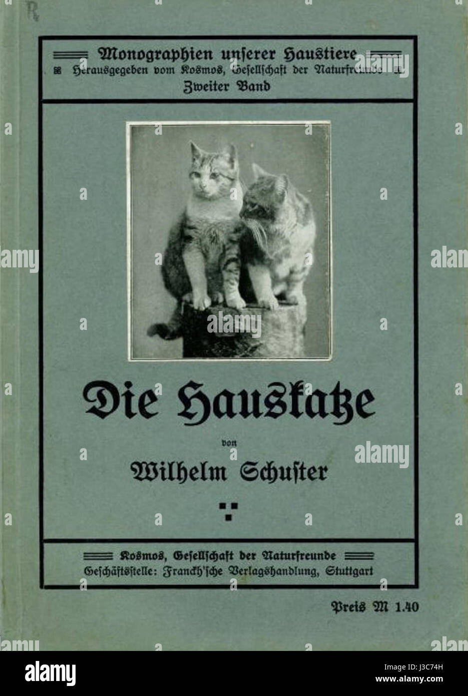 'Die Hauskatze' by Wilhelm Schuster is an artwork depicting the domestic cat. It captures the familiar and intimate relationship between humans and pets, focusing on the domestic cat's role in household life. Stock Photo
