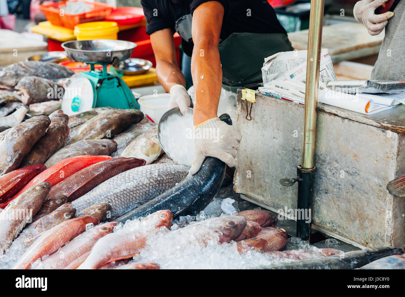 GEORGE TOWN, MALAYSIA - MARCH 23: Man prepare fish for sale at the wet market of Penang on March 23, 2016 in George Town, Malaysia. Stock Photo