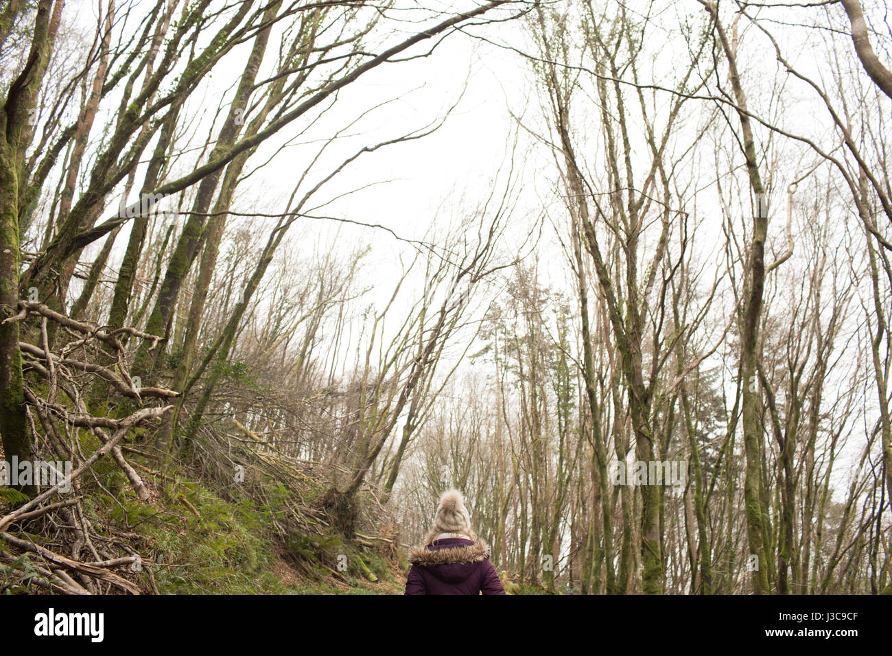Rear view of woman standing in the forest Stock Photo - Alamy