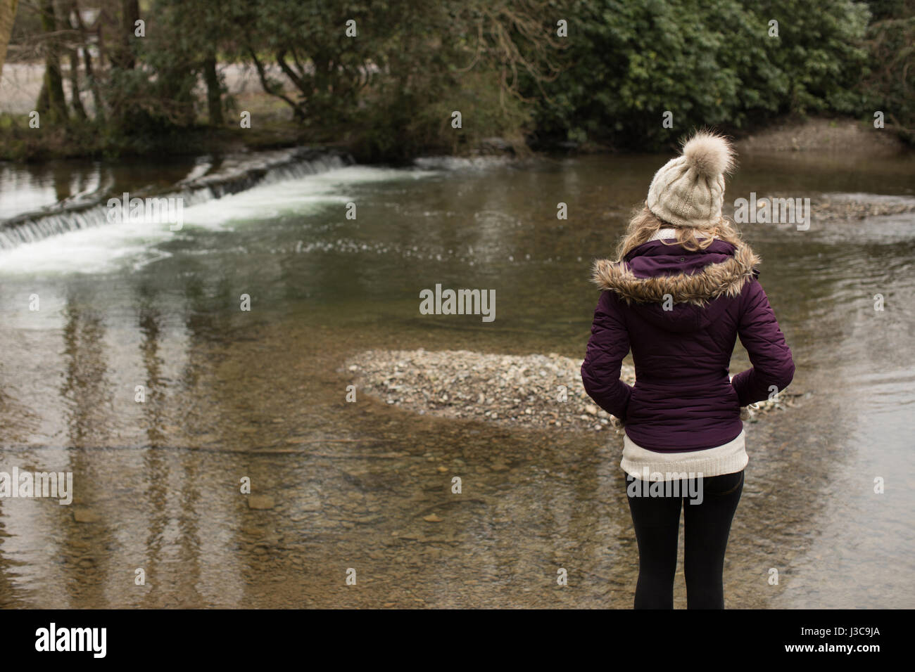Rear view of woman standing in the forest with hands in pocket Stock ...