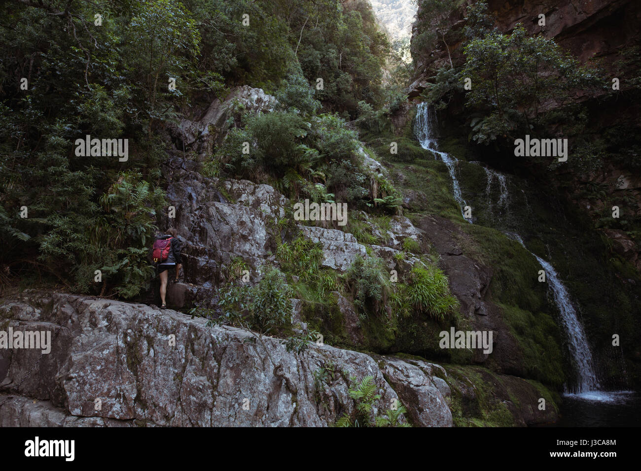 Rear view of woman standing near waterfall in countryside Stock Photo ...