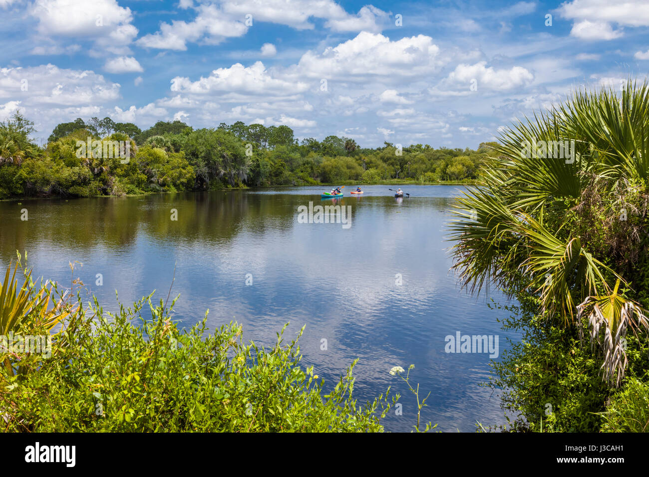 Deer Prairie Creek in Deer Prairie Creek Preserve in Venice Florida Stock Photo