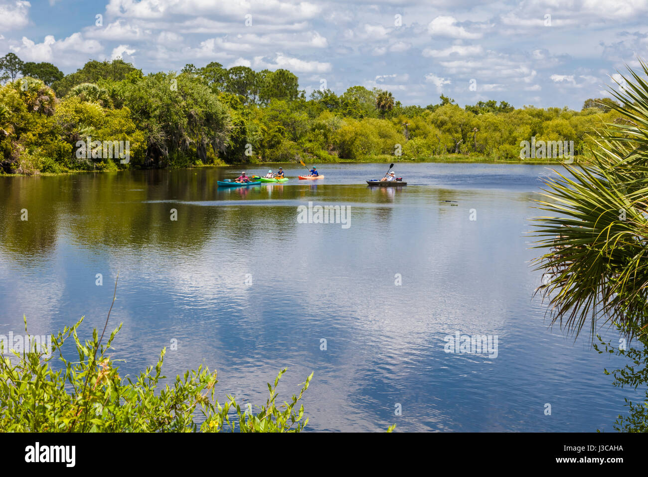 Deer Prairie Creek in Deer Prairie Creek Preserve in Venice Florida Stock Photo