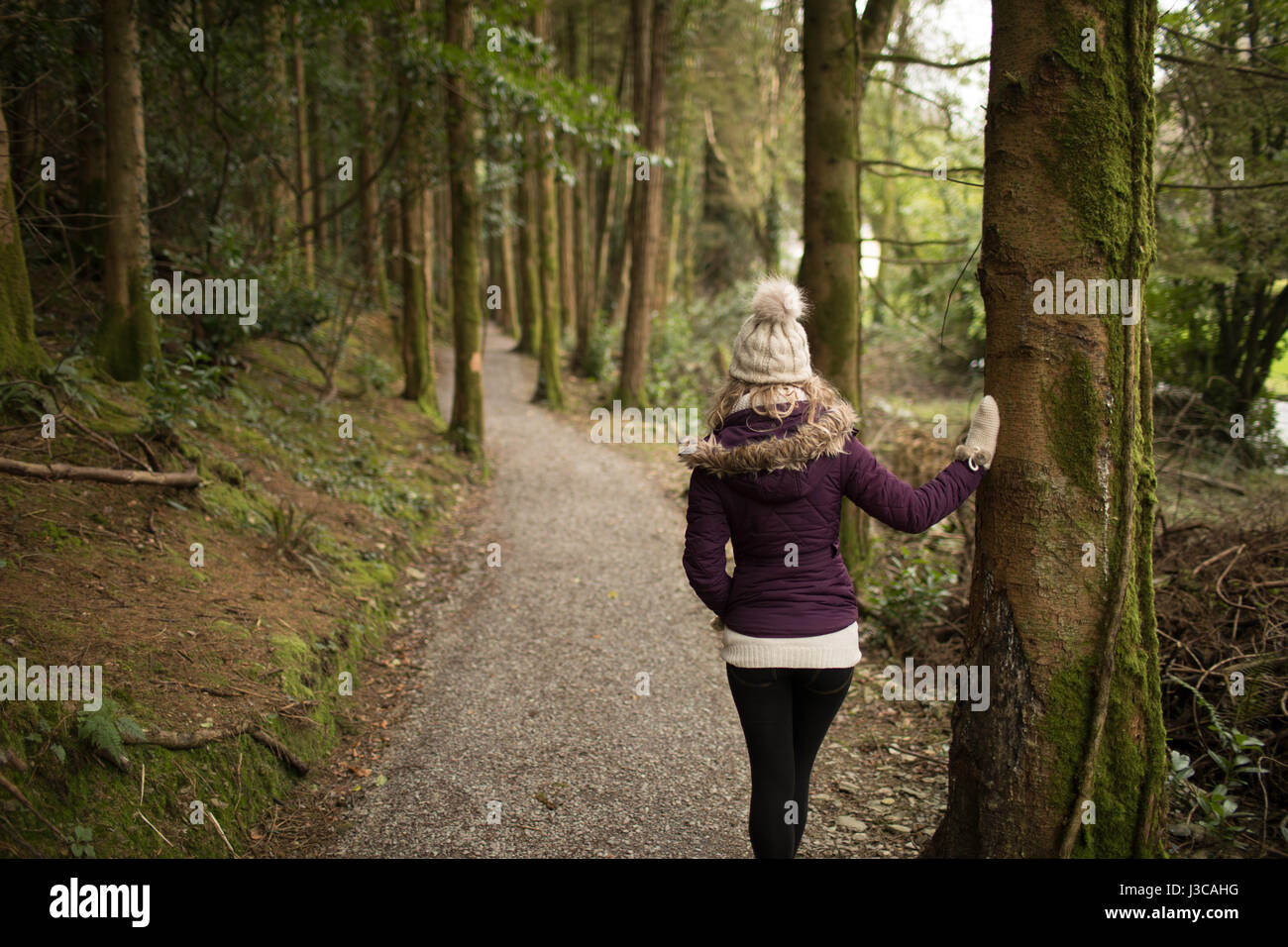 Rear view of woman standing in the forest Stock Photo - Alamy