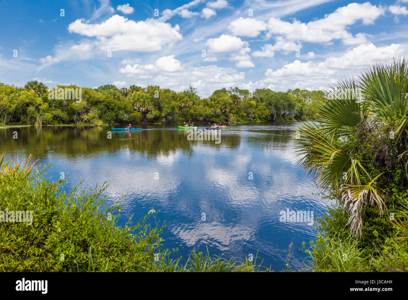 Deer Prairie Creek in Deer Prairie Creek Preserve in Venice Florida Stock Photo
