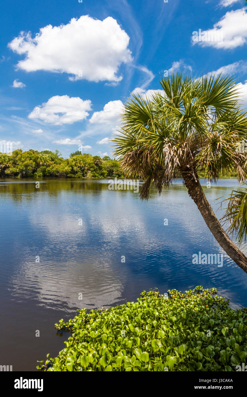 Deer Prairie Creek in Deer Prairie Creek Preserve in Venice Florida Stock Photo