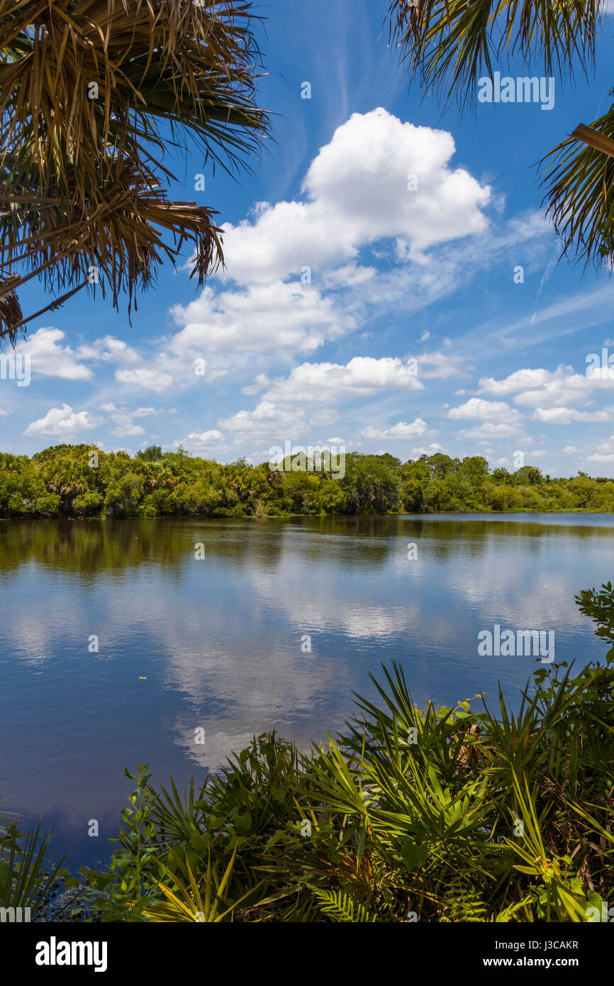 Deer Prairie Creek in Deer Prairie Creek Preserve in Venice Florida Stock Photo